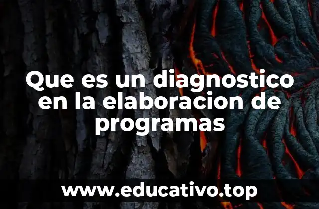 Que es un diagnostico en la elaboracion de programas