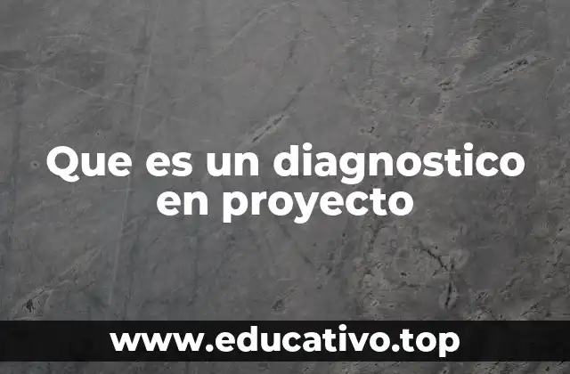Que es un diagnostico en proyecto