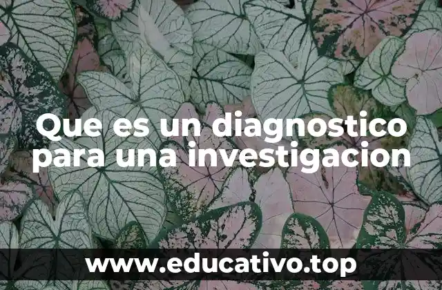 Que es un diagnostico para una investigacion