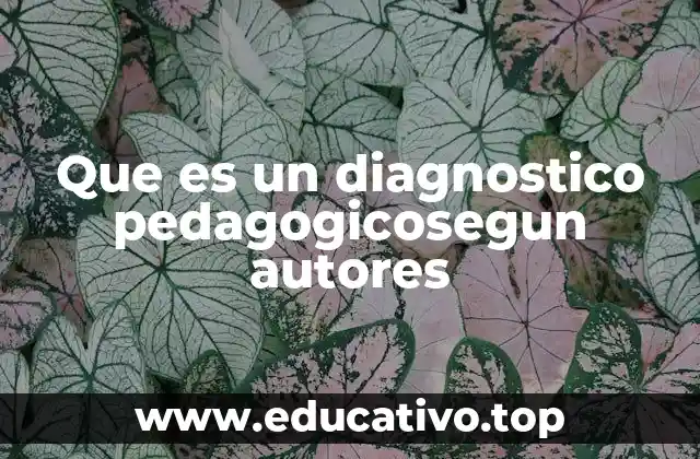 Que es un diagnostico pedagogicosegun autores