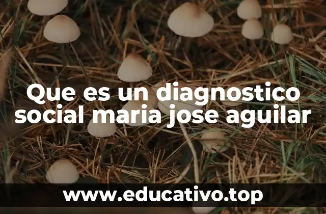 Que es un diagnostico social maria jose aguilar