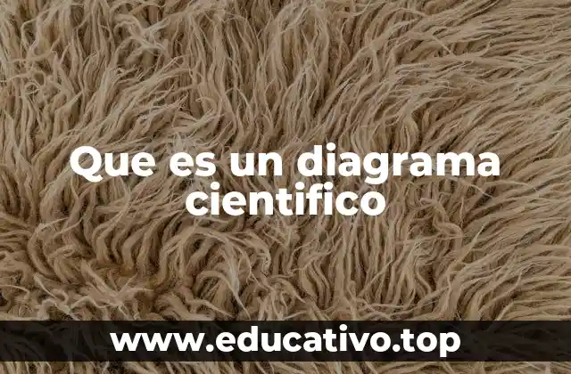 Que es un diagrama cientifico
