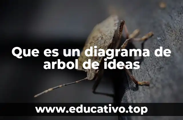 Que es un diagrama de arbol de ideas