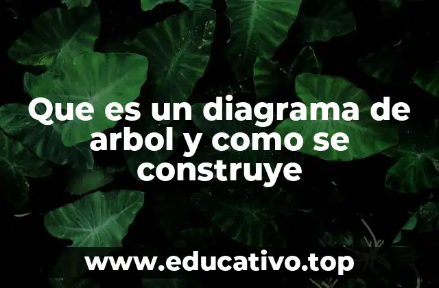 Que es un diagrama de arbol y como se construye