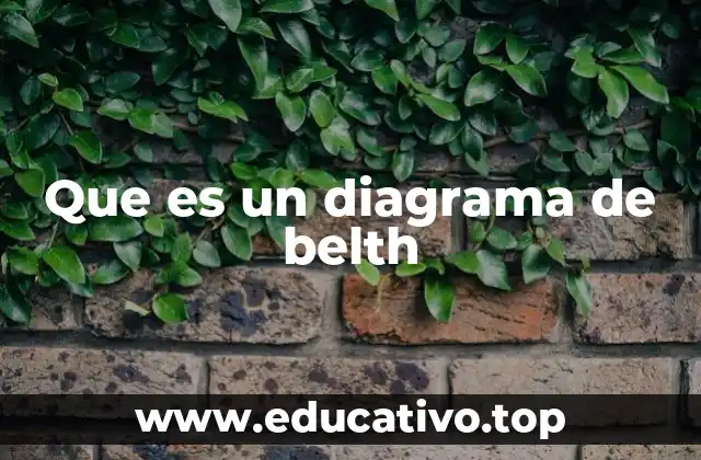Que es un diagrama de belth