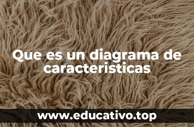 Que es un diagrama de caracteristicas