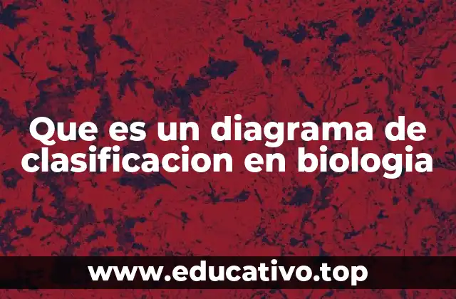 Que es un diagrama de clasificacion en biologia