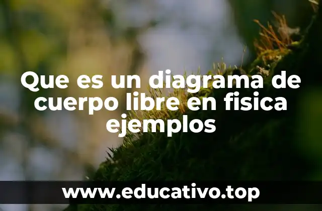 El análisis visual de fuerzas en física