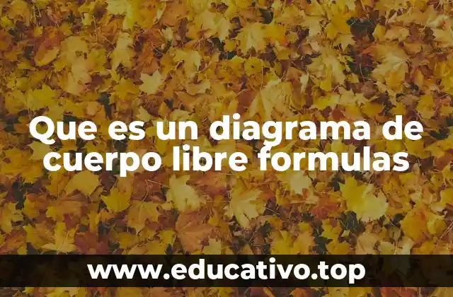 Que es un diagrama de cuerpo libre formulas
