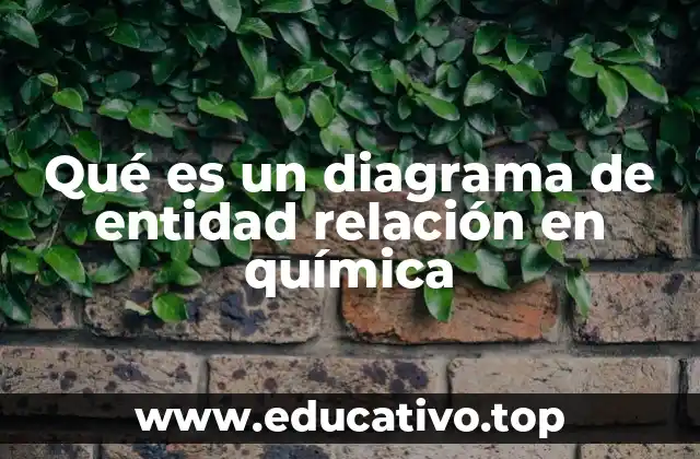 Representando sistemas químicos mediante DER