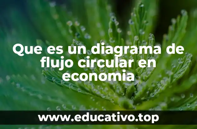 Que es un diagrama de flujo circular en economia