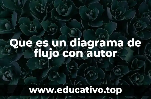 Que es un diagrama de flujo con autor