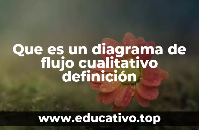 Que es un diagrama de flujo cualitativo definición
