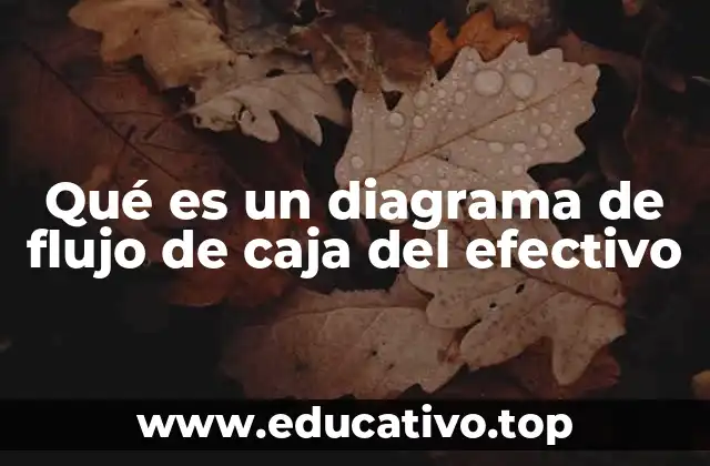Qué es un diagrama de flujo de caja del efectivo