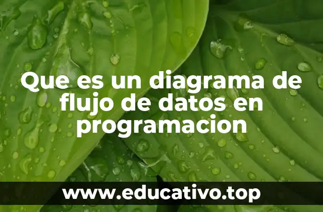 Que es un diagrama de flujo de datos en programacion