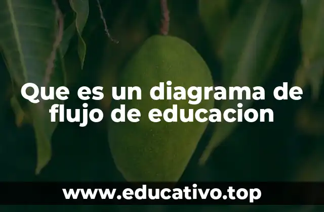Que es un diagrama de flujo de educacion