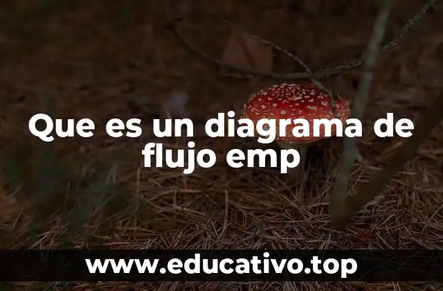 Que es un diagrama de flujo emp