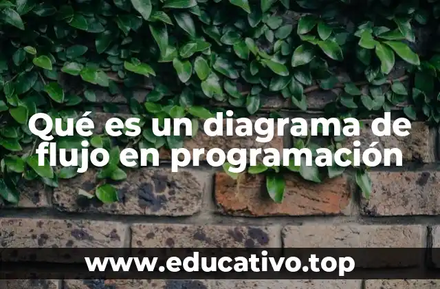 Qué es un diagrama de flujo en programación