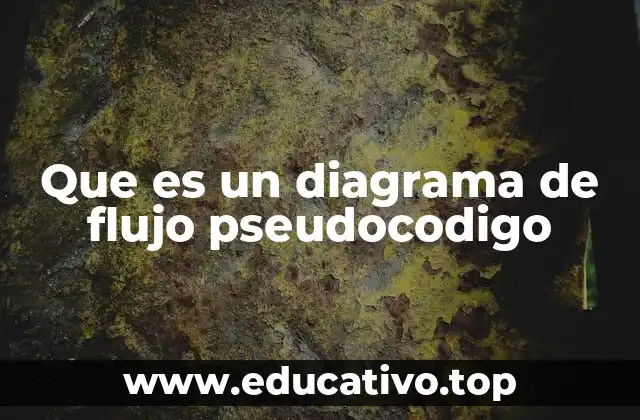 Que es un diagrama de flujo pseudocodigo