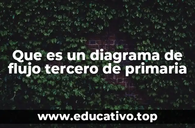 Que es un diagrama de flujo tercero de primaria