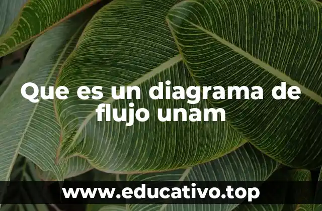 Cómo se utilizan los diagramas de flujo en la gestión universitaria