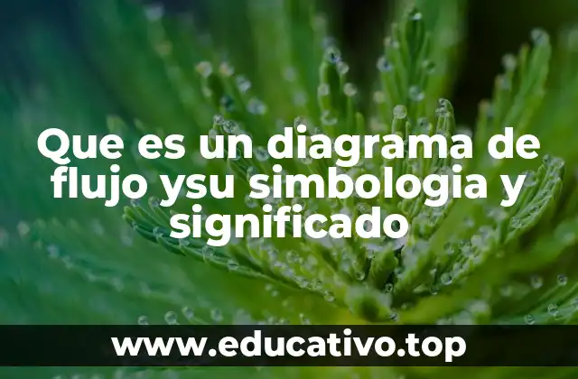 Que es un diagrama de flujo ysu simbologia y significado