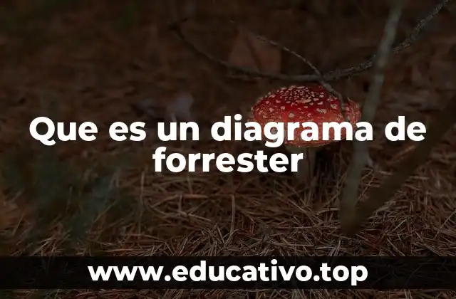 Que es un diagrama de forrester