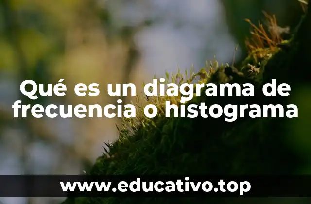 Qué es un diagrama de frecuencia o histograma