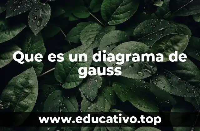 El papel de los diagramas en la representación matemática