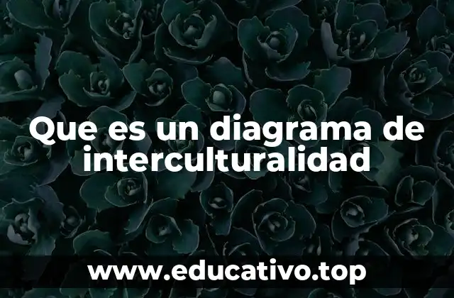 Que es un diagrama de interculturalidad