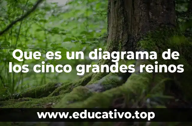 Que es un diagrama de los cinco grandes reinos