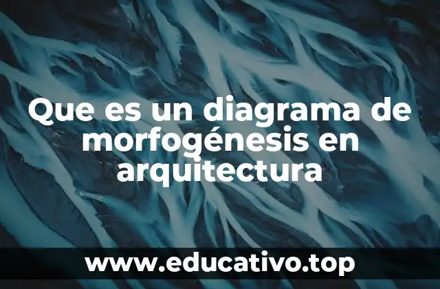 Que es un diagrama de morfogénesis en arquitectura