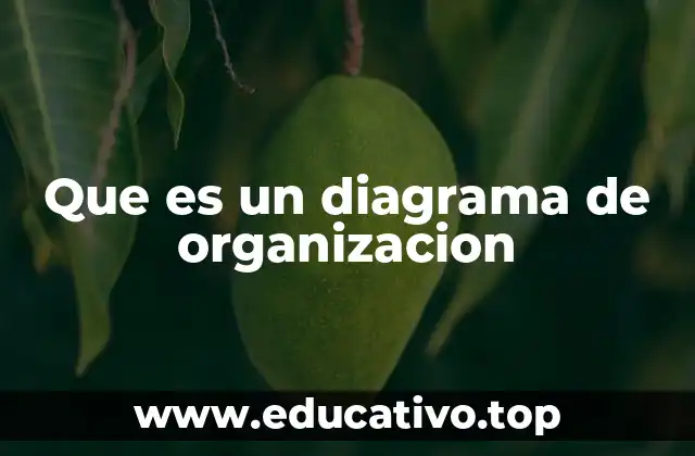 Que es un diagrama de organizacion