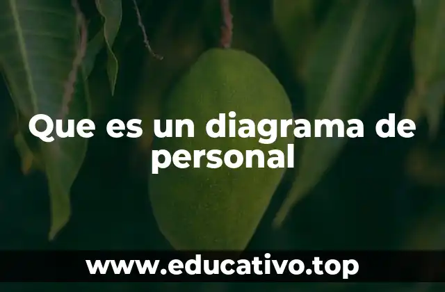 Que es un diagrama de personal