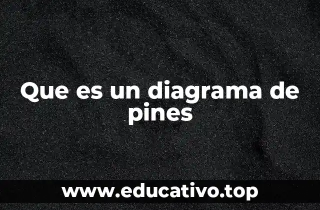 Representación visual de datos con diagramas de pines