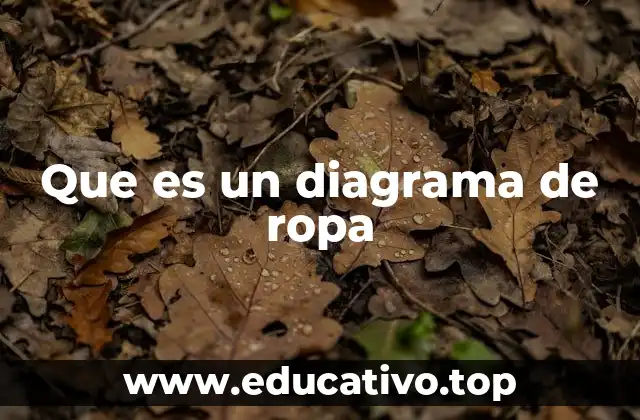 Que es un diagrama de ropa