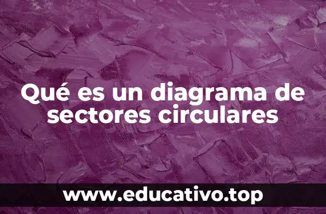 Qué es un diagrama de sectores circulares