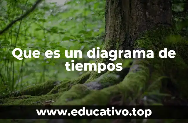 Que es un diagrama de tiempos