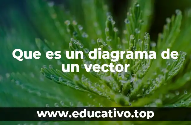 Representación visual de magnitudes vectoriales