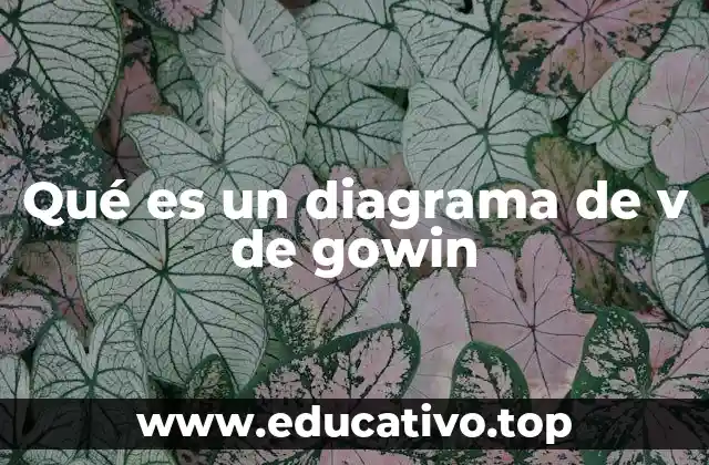 Qué es un diagrama de v de gowin