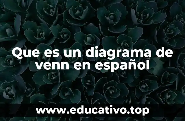 Que es un diagrama de venn en español