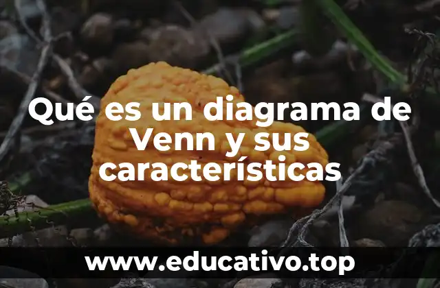 Qué es un diagrama de Venn y sus características