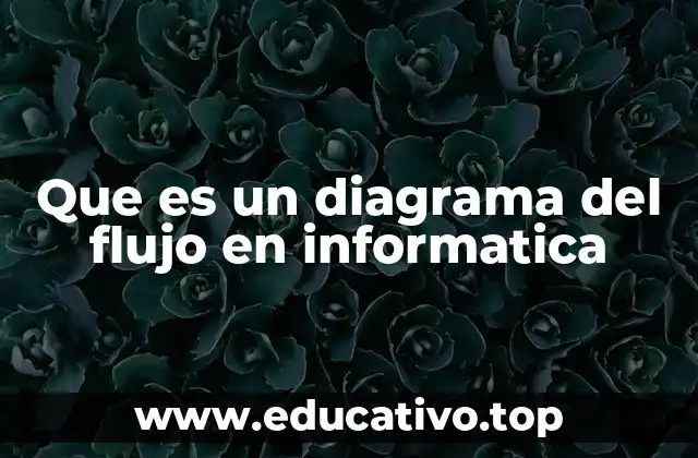 Que es un diagrama del flujo en informatica