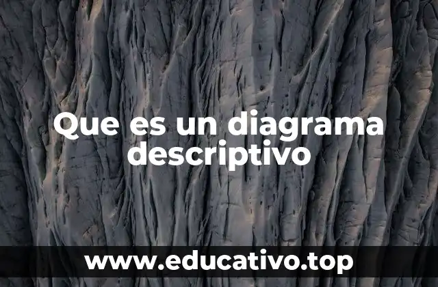 Que es un diagrama descriptivo
