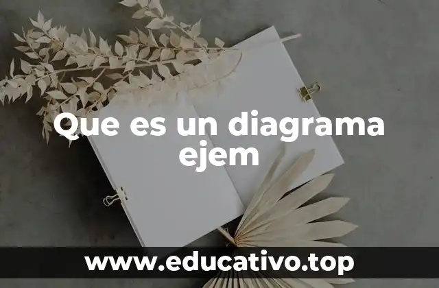 Que es un diagrama ejem