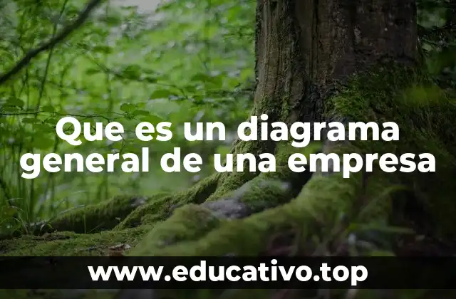Que es un diagrama general de una empresa