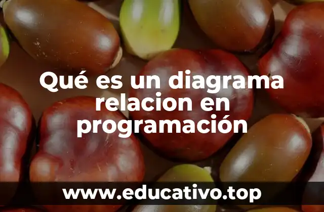 Qué es un diagrama relacion en programación