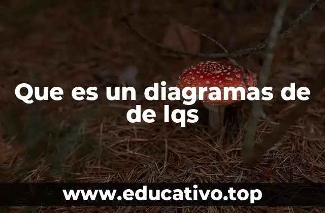 Que es un diagramas de de lqs