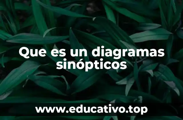 Que es un diagramas sinópticos