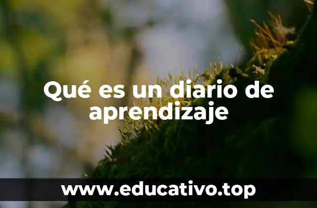 Qué es un diario de aprendizaje